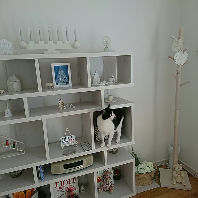 Mooさんの実例写真