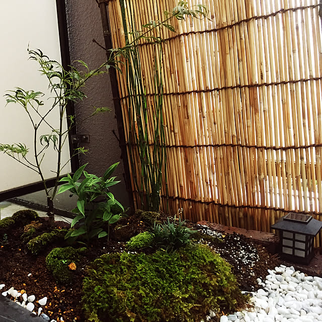 hide.sakaさんの実例写真