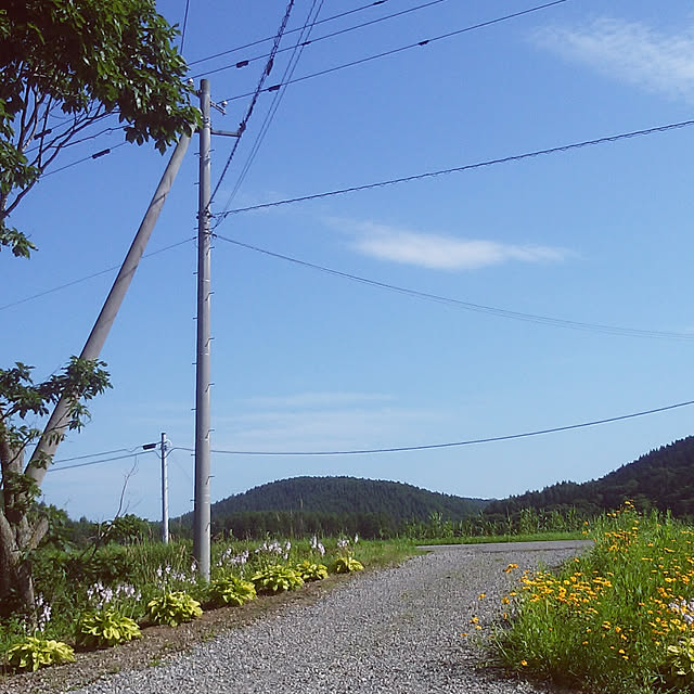 ree.yoshi-1001さんの実例写真