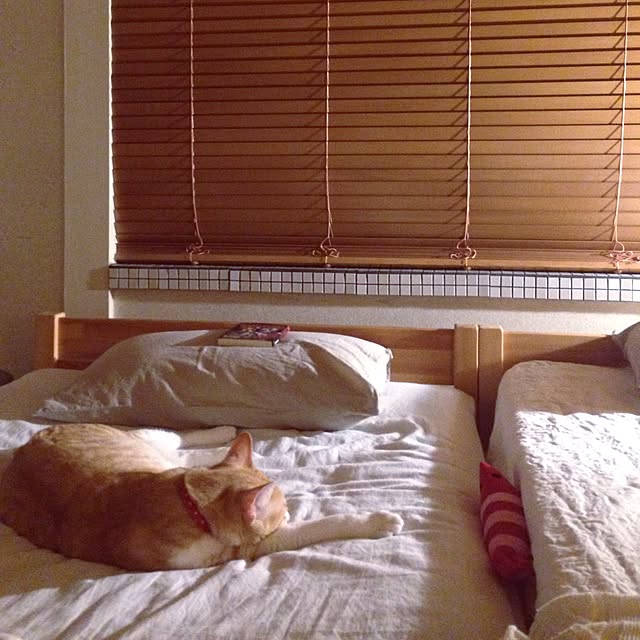 NPGHさんの実例写真