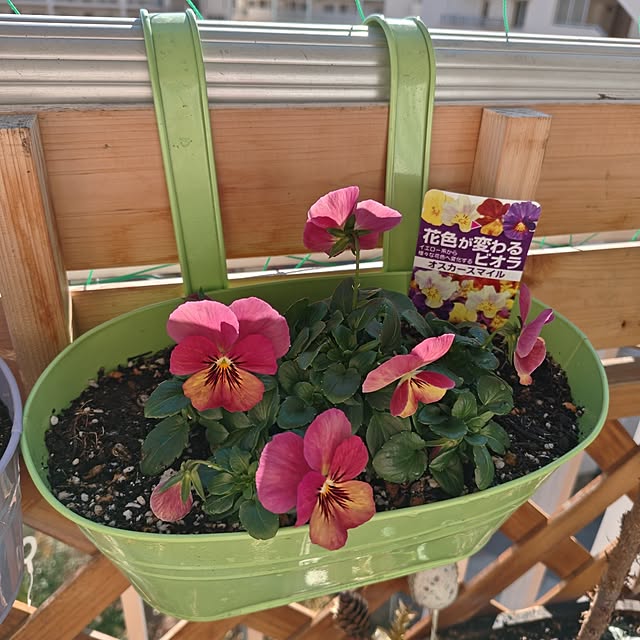 mariaさんの実例写真