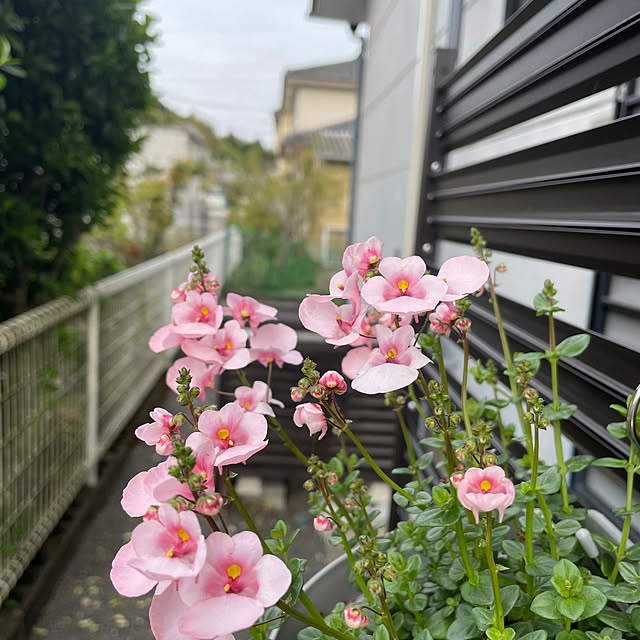natsumiさんの部屋