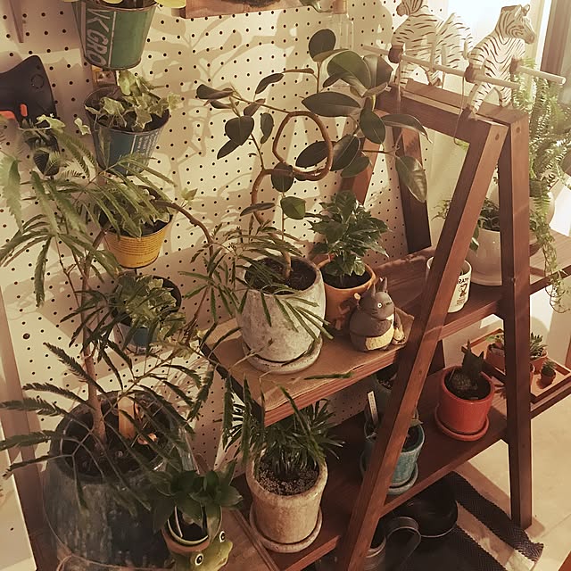 実例写真