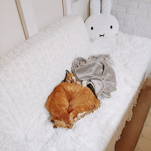 kirakirahikaruさんの実例写真