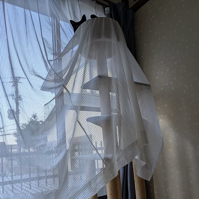 asaさんの部屋