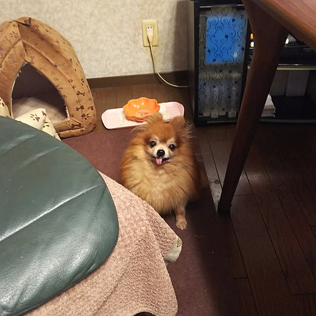 karenさんの実例写真