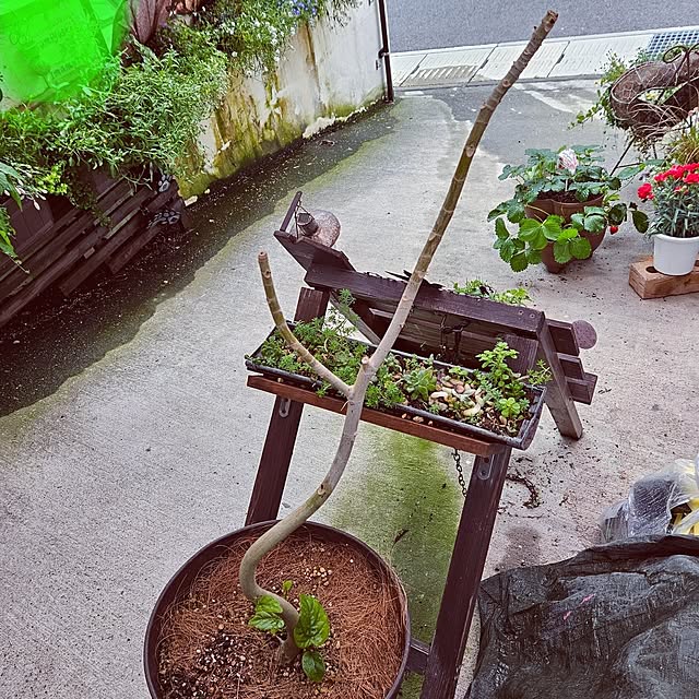 mocomocoさんの部屋