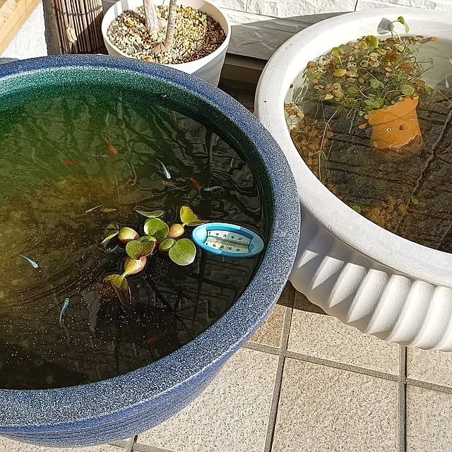 soyokoさんの実例写真