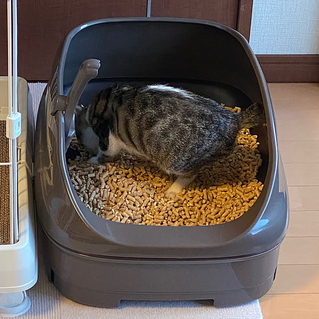 starwarsさんの部屋