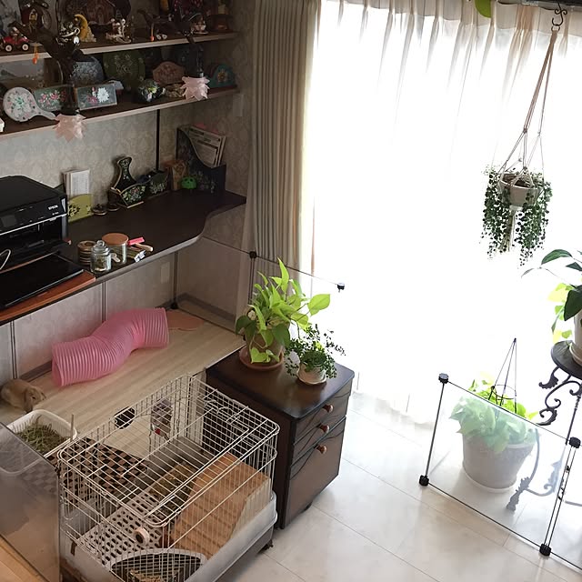 nonさんの実例写真