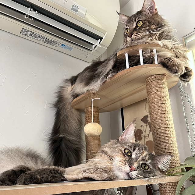 mayumiさんの部屋