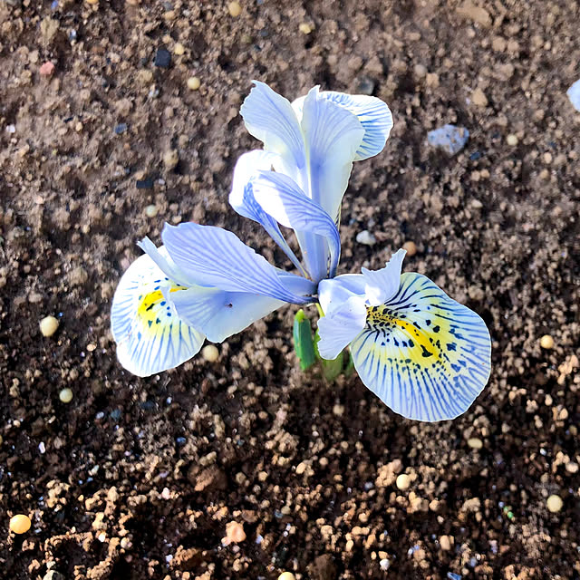 tomoさんの実例写真