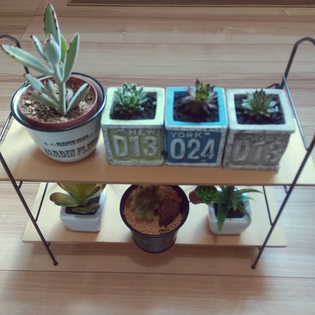 ikt.tamaさんの実例写真