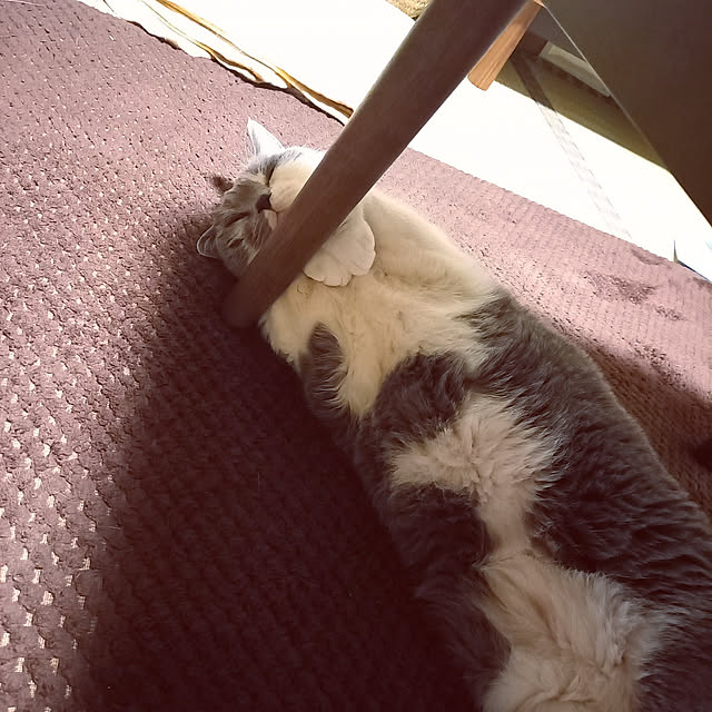 rhuさんの実例写真
