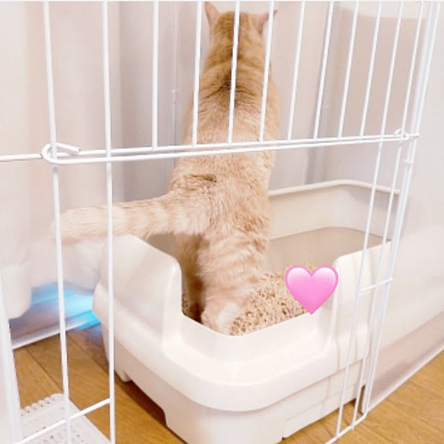 heart.emiemi57.whiteさんの実例写真