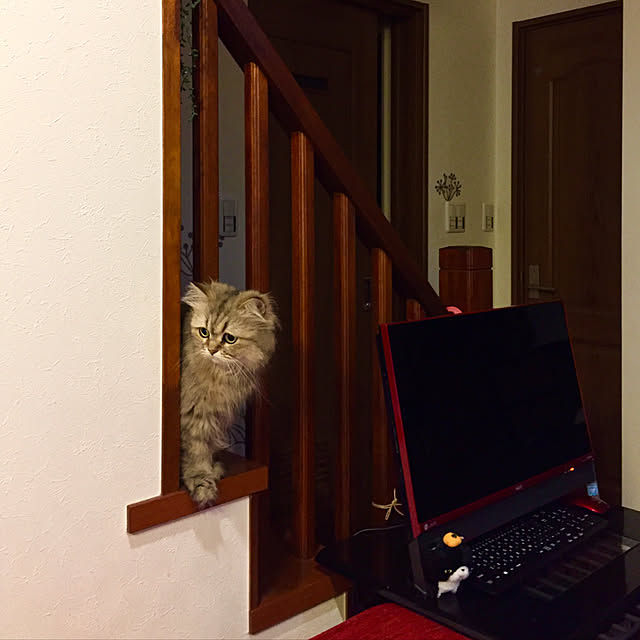 butachanさんの実例写真
