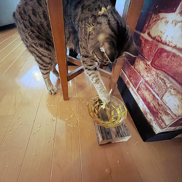 Mさんの実例写真