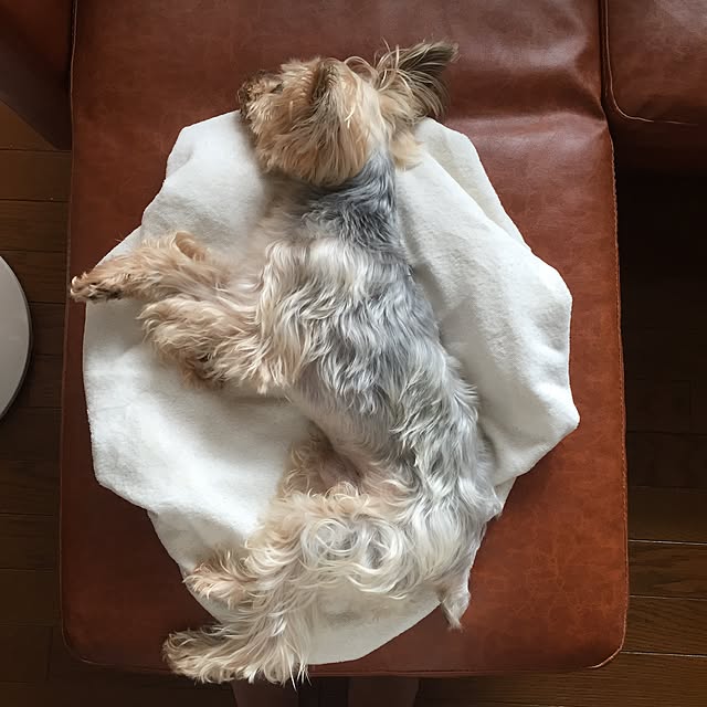 Leeeさんの実例写真