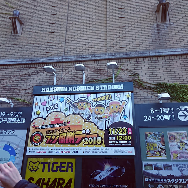 実例写真