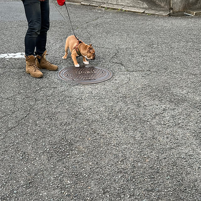 chi_gogaさんの部屋