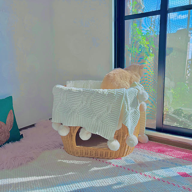 naokoさんの部屋