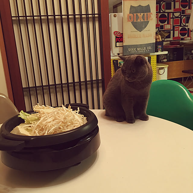 Shojiさんの実例写真