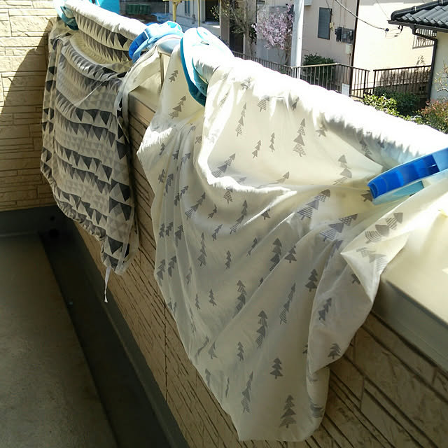 BuBuさんの実例写真