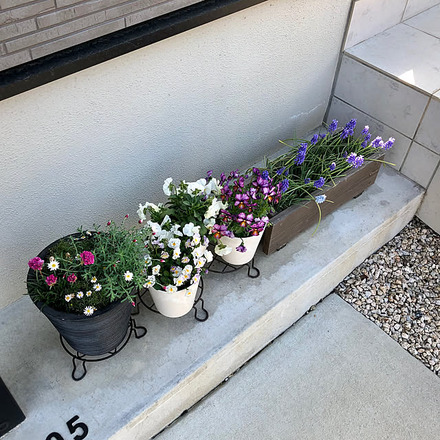 yoppiさんの部屋