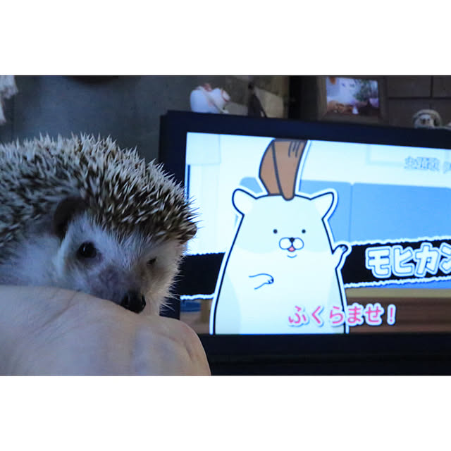 Chikakoさんの実例写真