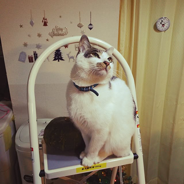 tenさんの実例写真