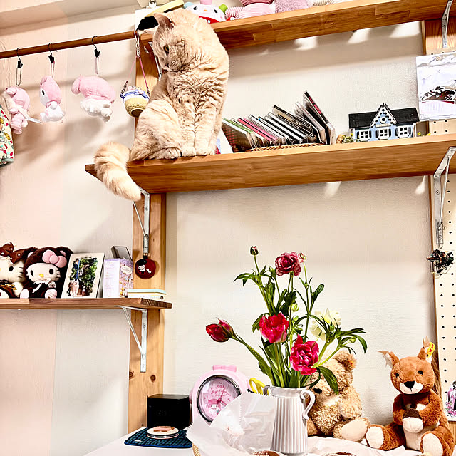 naokoさんの実例写真