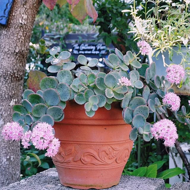 taeko0779さんの部屋