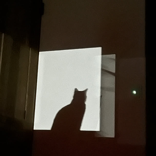 PU930さんの実例写真