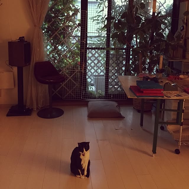 kimishigureさんの実例写真