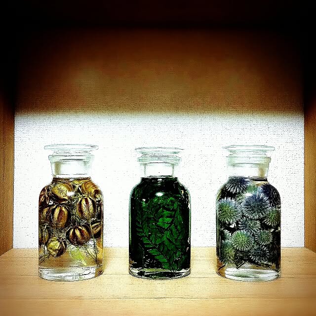 s.iwaさんの実例写真