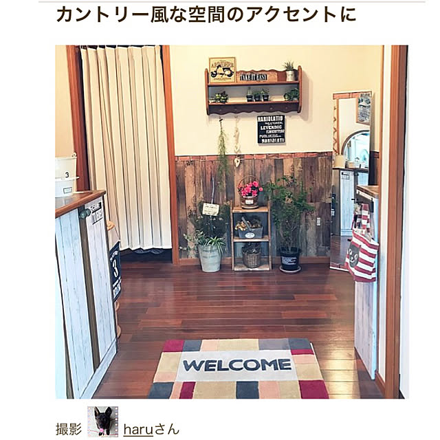 haruさんの実例写真