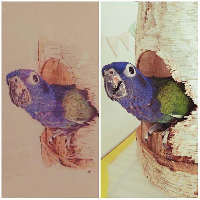 bonoさんの実例写真