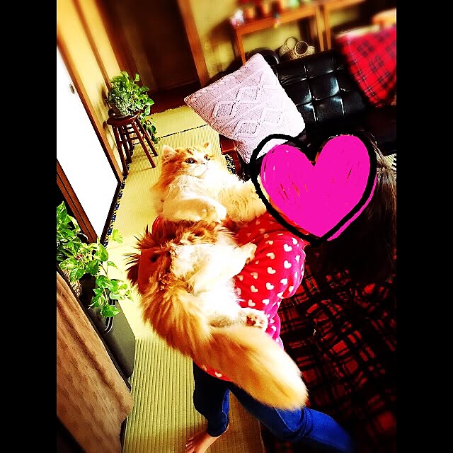mikanさんの実例写真