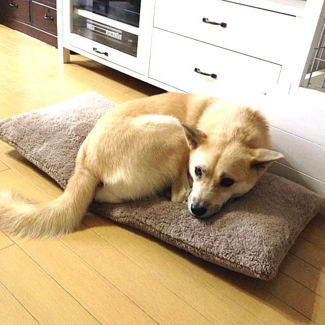 leonaさんの実例写真