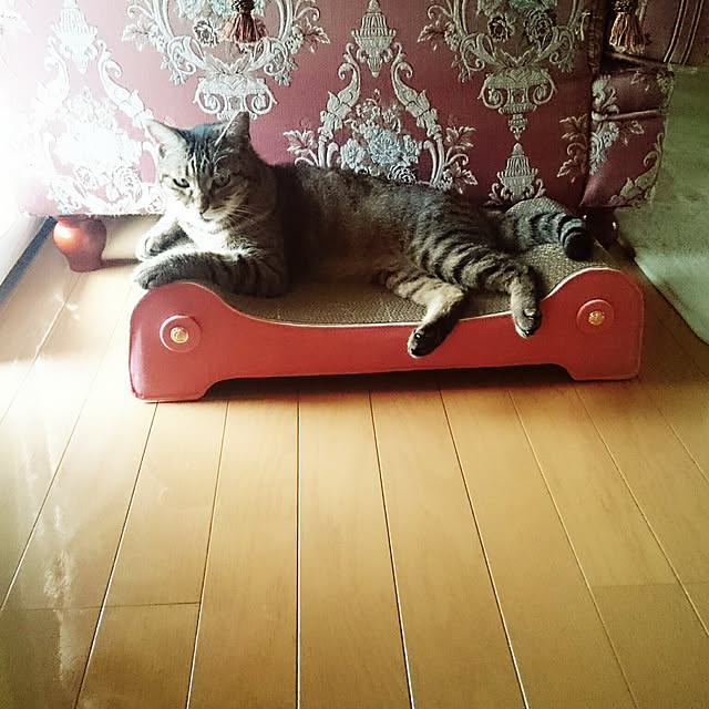 lilyさんの実例写真