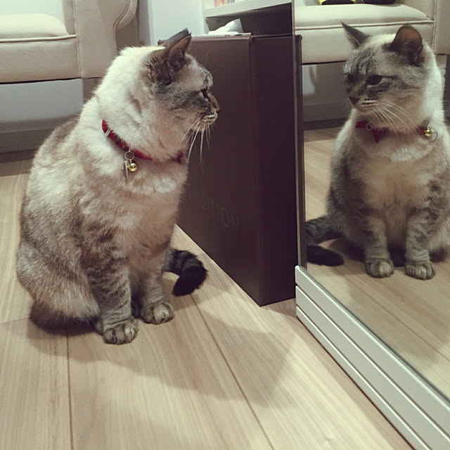 bonobono54さんの実例写真