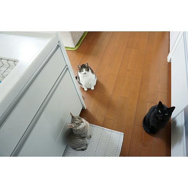 arutotoさんの実例写真