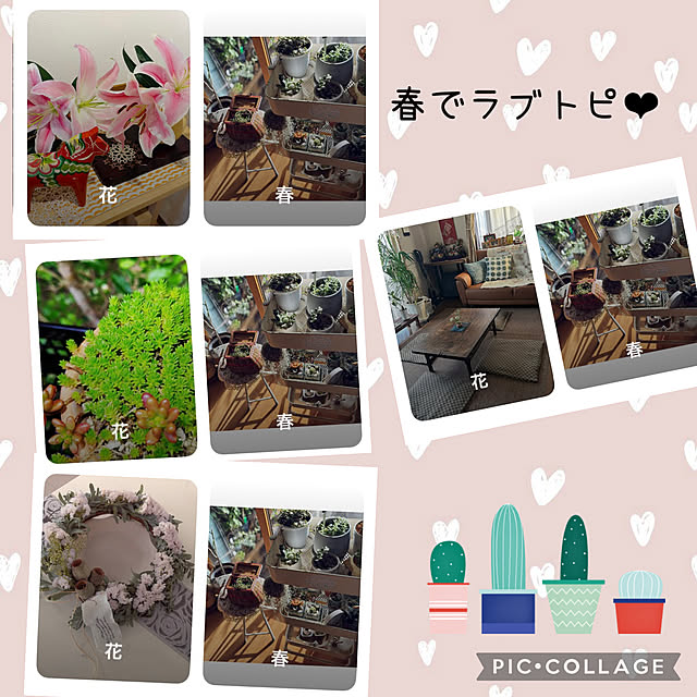 CoCo0617さんの実例写真