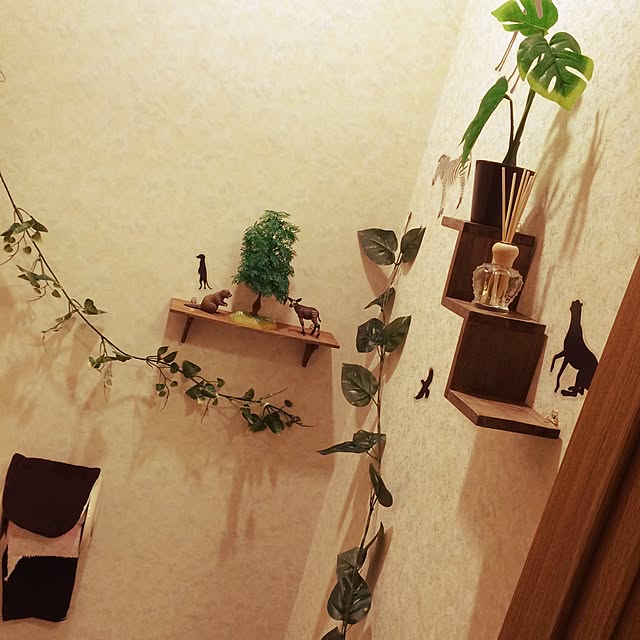 miori-taさんの実例写真