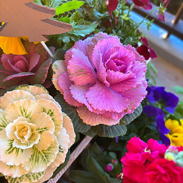 syutmmさんの部屋