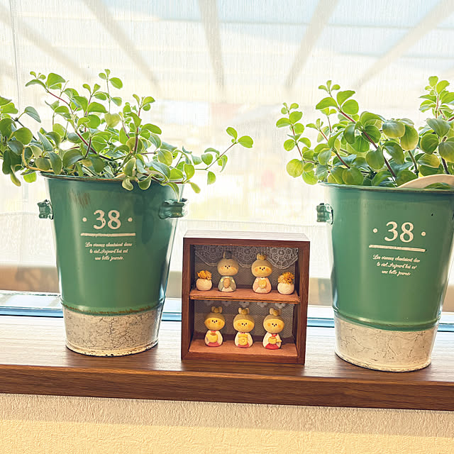 ponponcooさんの部屋