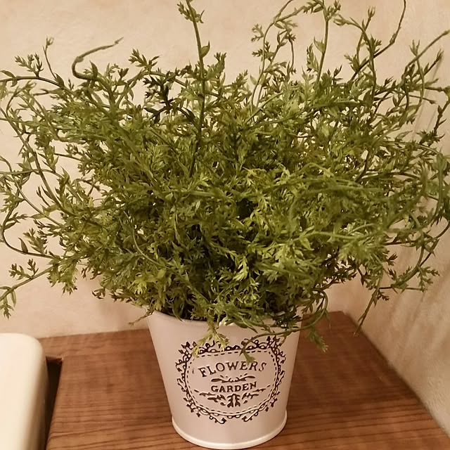 tankochan0808さんの実例写真