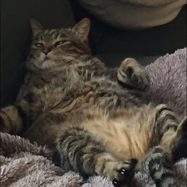 500cinquさんの実例写真