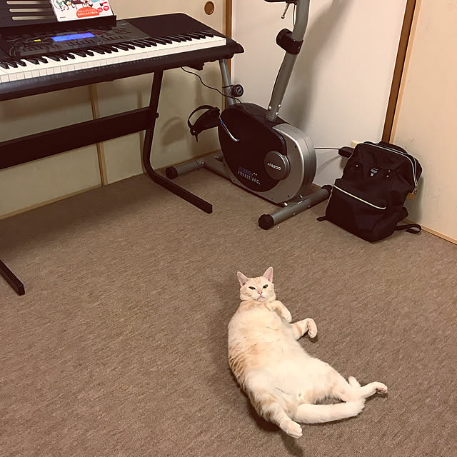 hiyupan88さんの実例写真