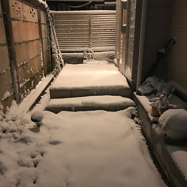 ma-chicoさんの実例写真